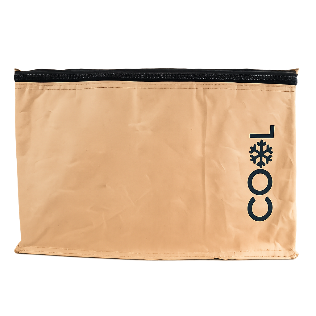 Cooler bag Portable with Carry Strap for Picnics and Travel 10L Brown