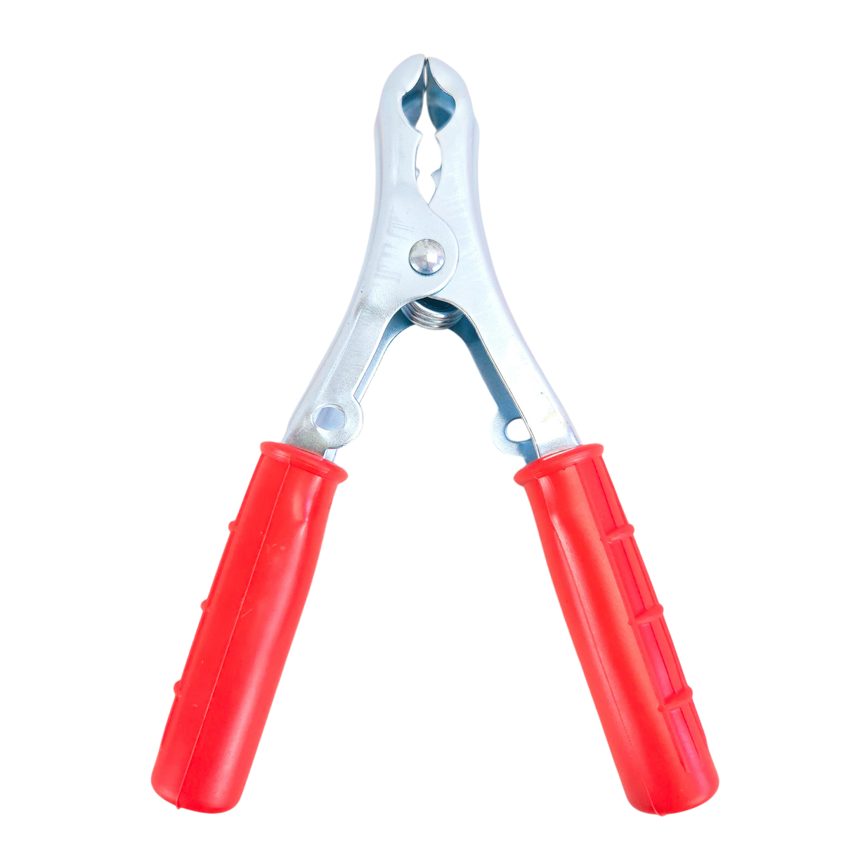 Paire de pinces pour batterie