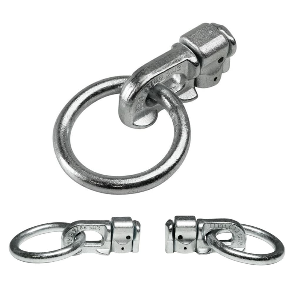 Ladungssicherungsöse für Schienensysteme