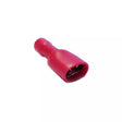 Faston Femmina Isolato 6,3 mm