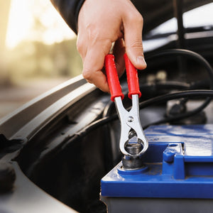 Paire de pinces pour batterie
