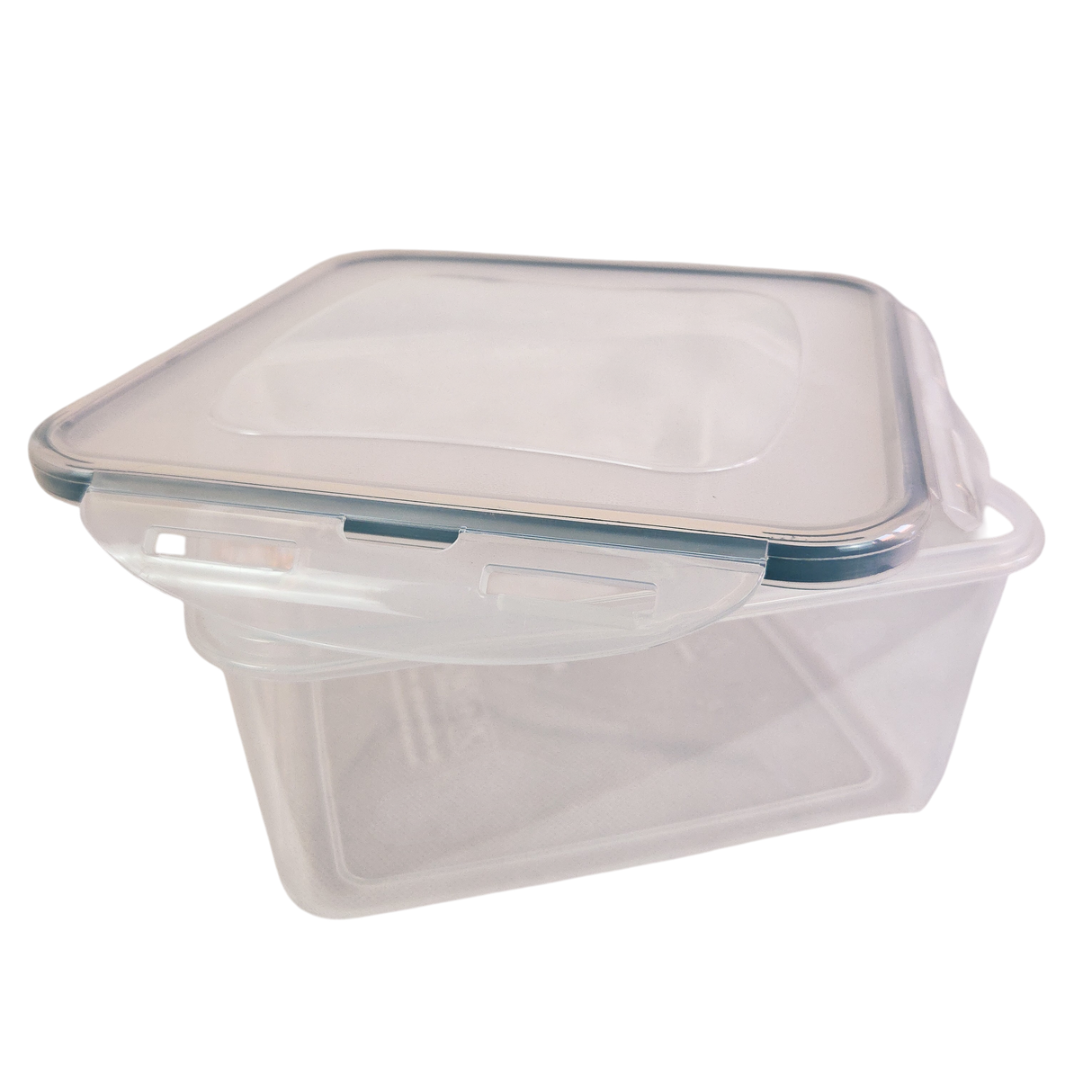 Food Storage Containers 4 Piece Plastic Airtight Set with Lids