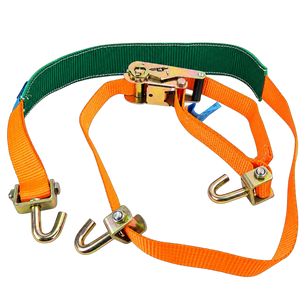 Wheel Straps for Car Transporters 3 Point Tie Down 2.5m
