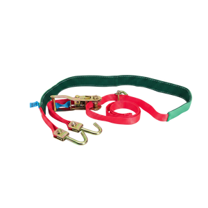 Wheel Straps 3-Point for Secure Car Transport and Vehicle Recovery