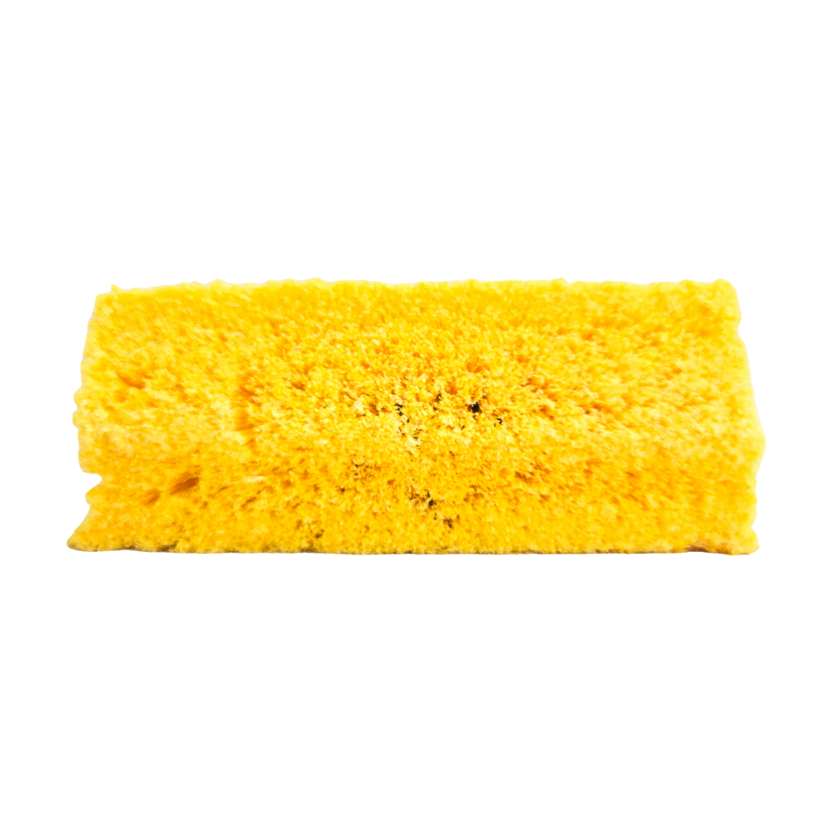 Tête de brosse lavage voiture vue de dessous, la surface de poils dense et souple